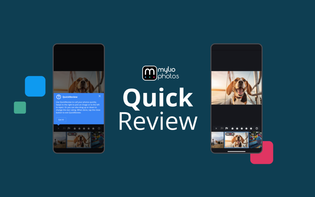 mylio-photos-Quick-Review-feature-speeds-culling-rating-organizing-photos