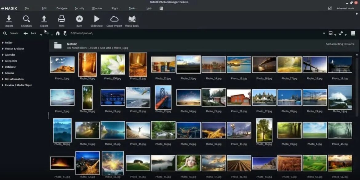 Best Photo Organizing Software in 2024 [Mac + Windows]