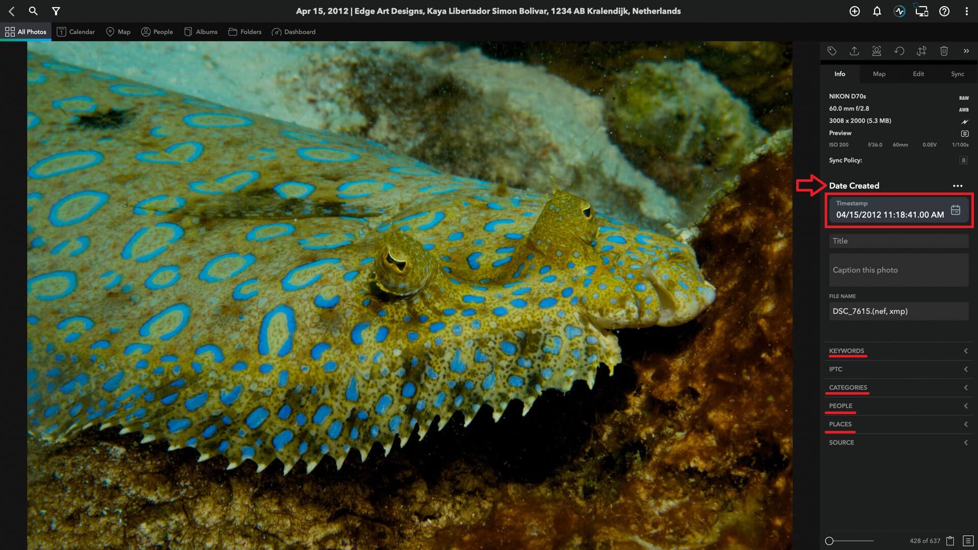 How to Organize Digital & Printed Photos [2024] Mylio