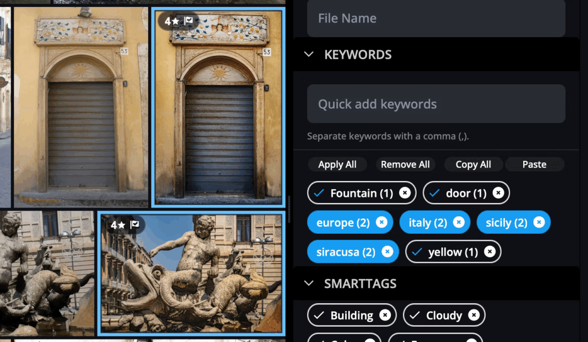 © Angela Andrieux Adding Keywords in Mylio Photos